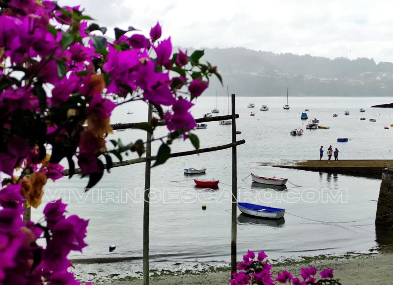 Redes - Ría de Ares