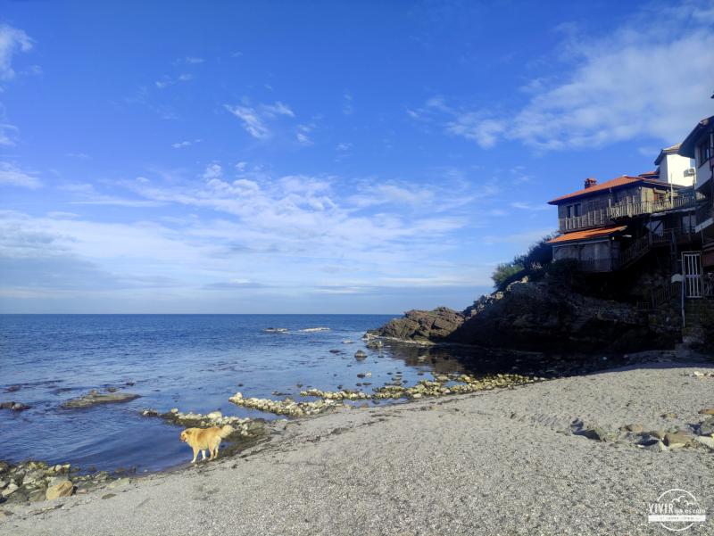 Playa Clamshell (Sozopol, Bulgaria)