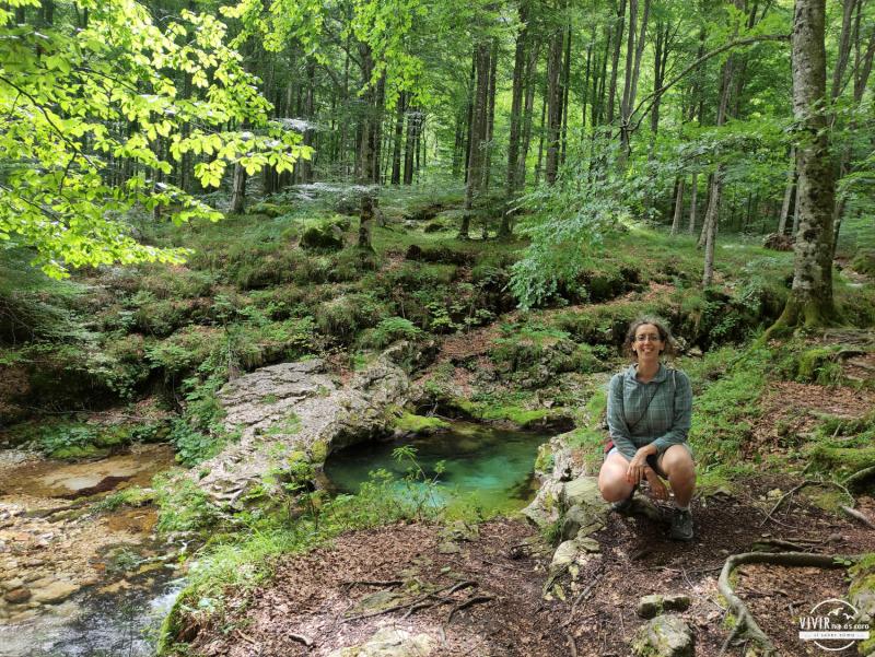 Pozas en el Torrente del Arzino (Friuli-Venecia Julia, Italia)