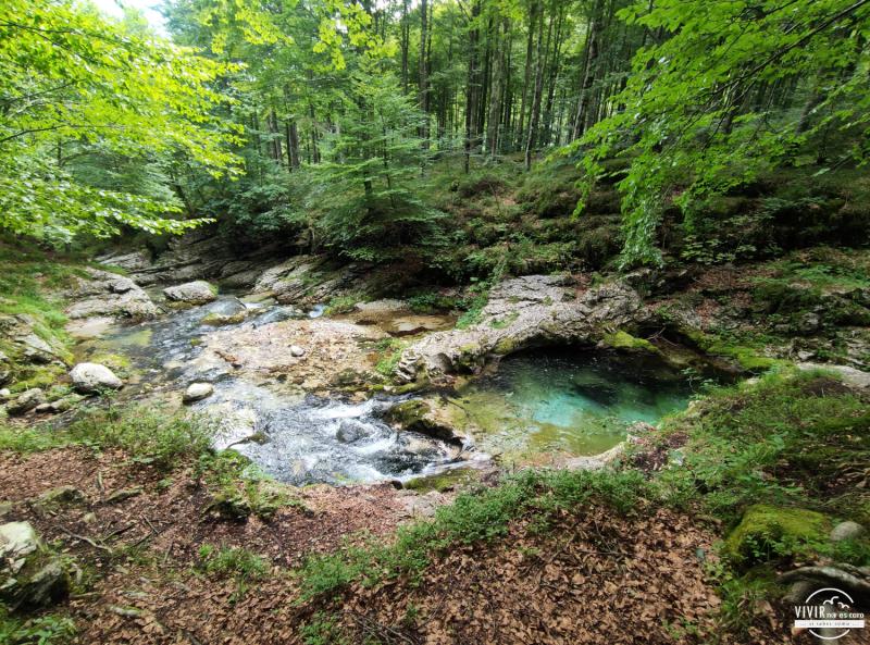 Pozas en la ruta a la Cascada del Arzino (Friuli-Venecia Julia, Italia)