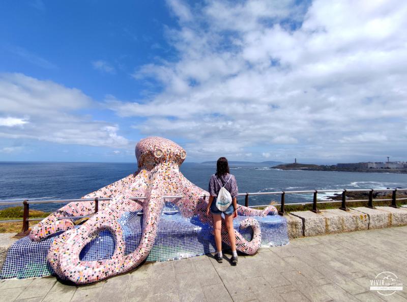 El Pulpo de colores de A Coruña (Galicia)