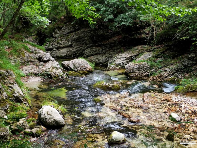 El torrente del Arzino (Friuli-Venecia Julia, Italia)