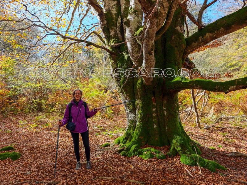 Ruta Laberinto de Arno y Katarri