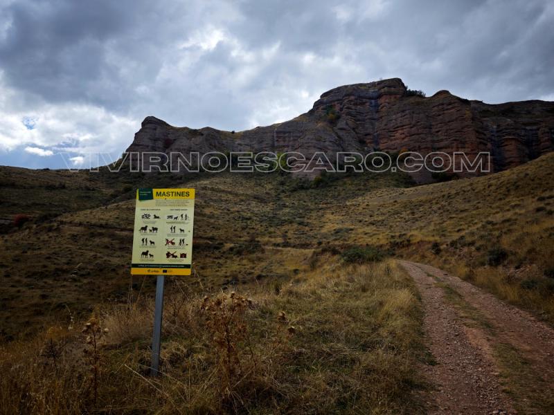 Mastines en la ruta Peña Tobía (La Rioja)