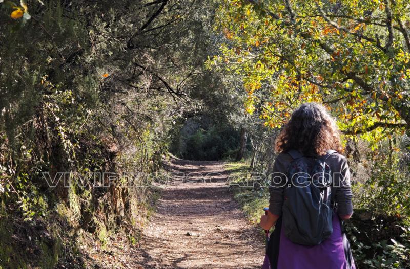 Ruta por la Ribera del Jabugo: senderismo en la Sierra de Aracena