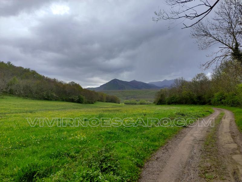 Ruta Senda del Oso en Cervera de Pisuerga (Palencia)