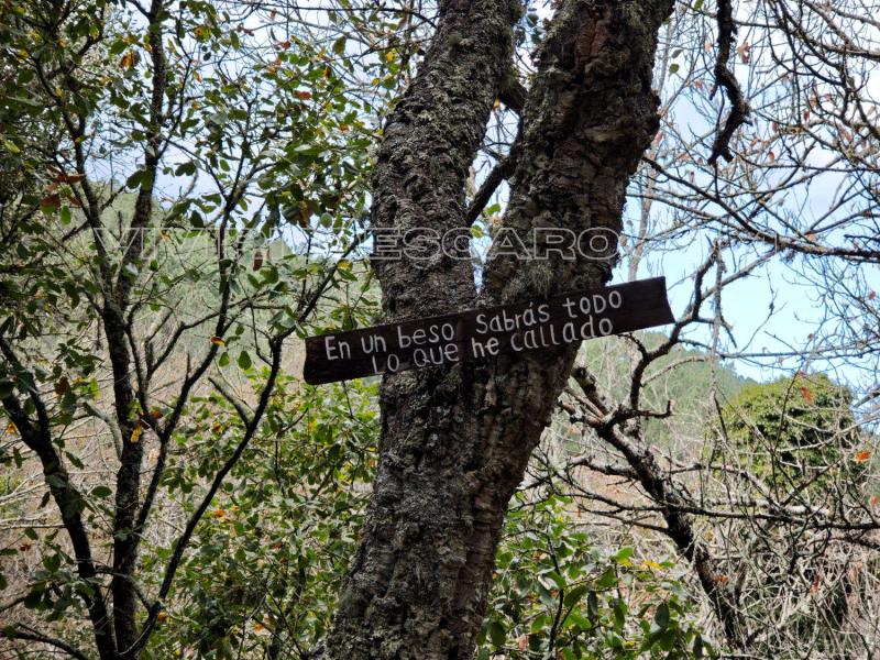 Ruta de senderismo por la Ribera del Jabugo