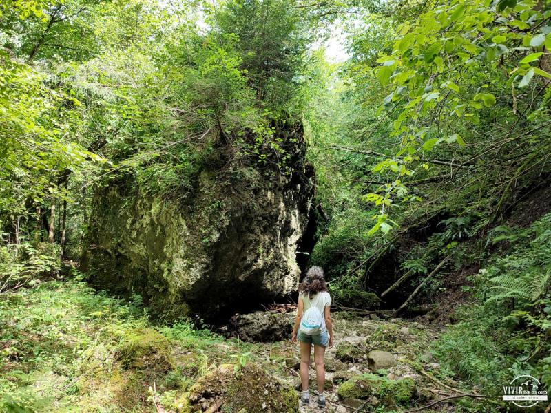 Bosque con río en Cavazzo Carnico (Údine, Italia)