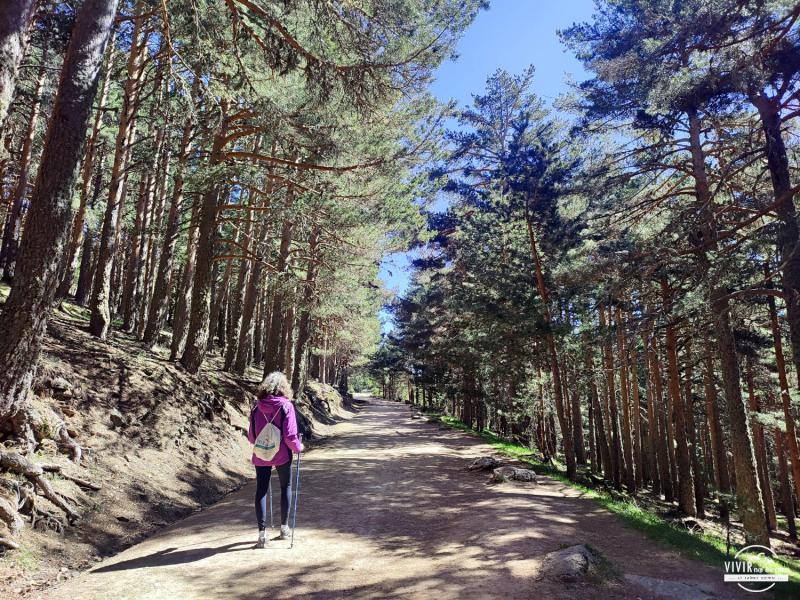 Inicio Ruta a la Laguna Grande de Peñalara (Madrid)
