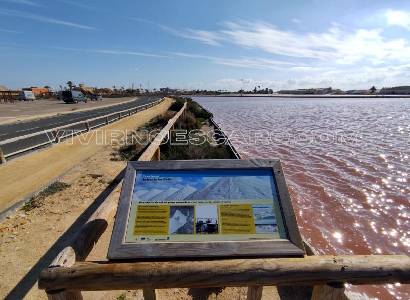 Laguna rosa en las Salinas de San Pedro del Pinatar