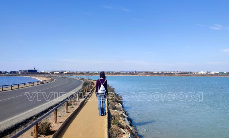 Salinas de San Pedro del Pinatar (Murcia)