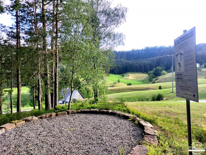Sendero natural de Yoga en Böschel (Selva Negra, Alemania)