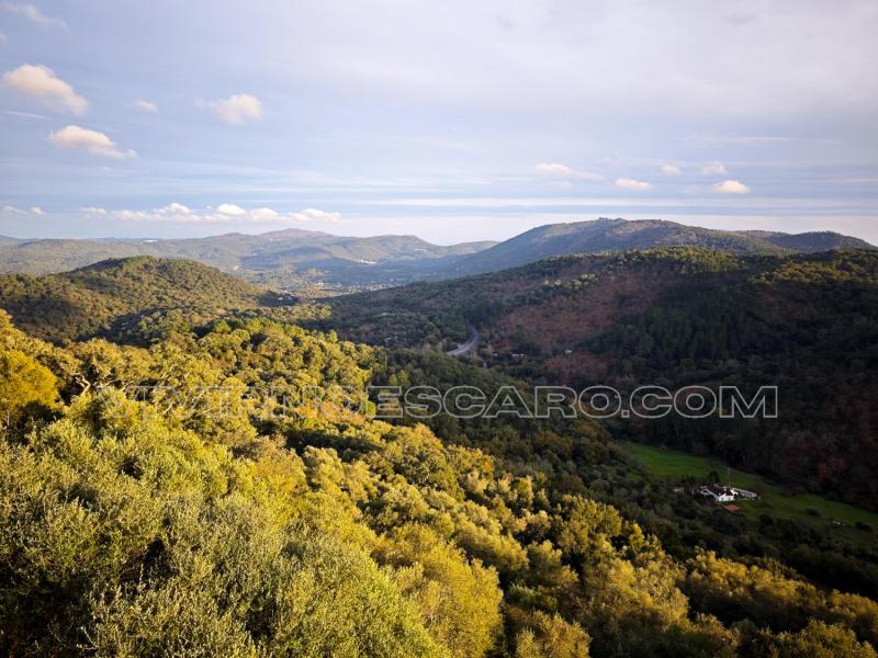 Sierra de Aracena: Cortegana