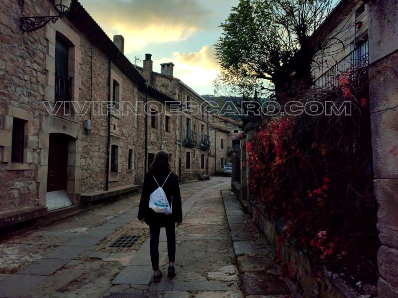 Vinuesa: casonas y palacios