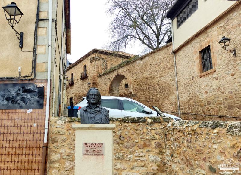 Busto en honor a Félix Rodríguez de la Fuente en Poza de la Sal