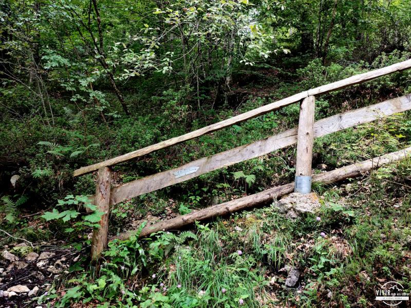 Escalera a la Cascada del Arzino (Friuli-Venecia Julia, Italia)