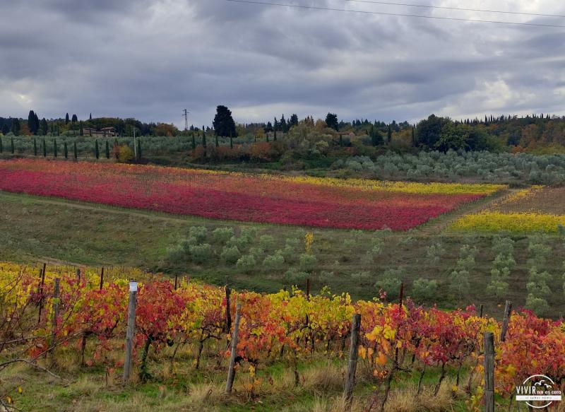 Paisajes de otoño. Viñas en el Chianti La Toscana en noviembre