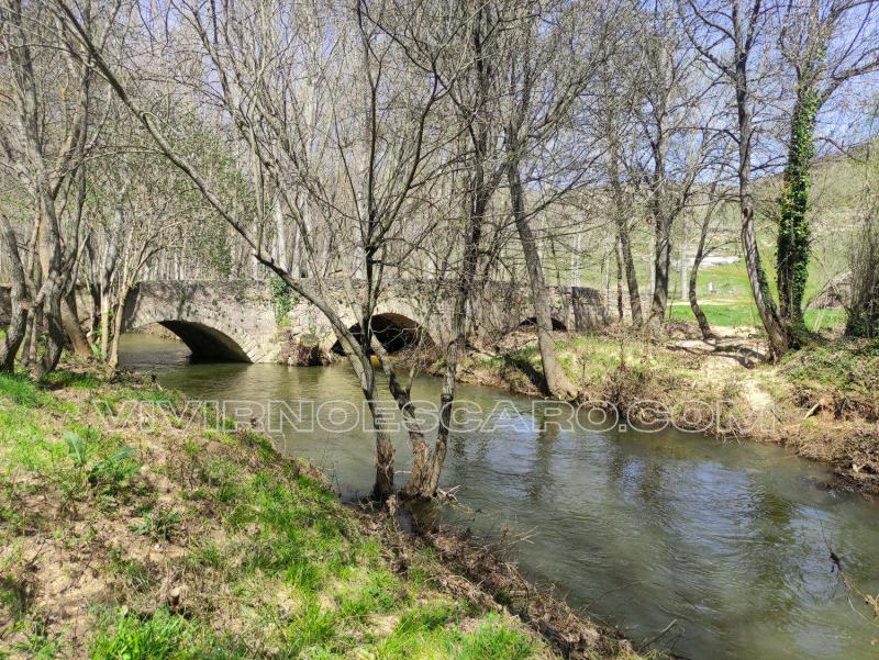Puente de Picazos (Sepúlveda, Duratón)
