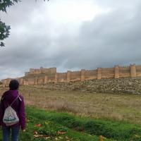 El Castillo de Berlanga de Duero (Soria)