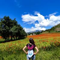 Campo de amapolas en La Breóle (Serre-Ponçon, Alpes, Francia)