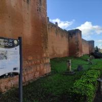 Muralla de Niebla (Huelva)