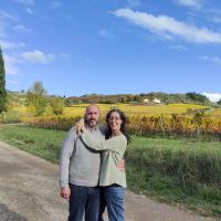 Paisajes y viñedos de la Toscana (El Chianti)