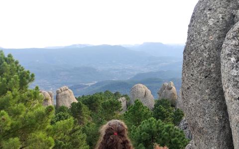 Vista de Los Picarazos (Albacete)