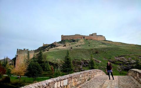Puente medieval de Osma (Soria)