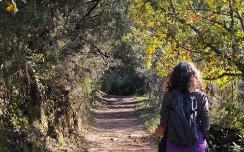 Ruta por la Ribera del Jabugo: senderismo en la Sierra de Aracena