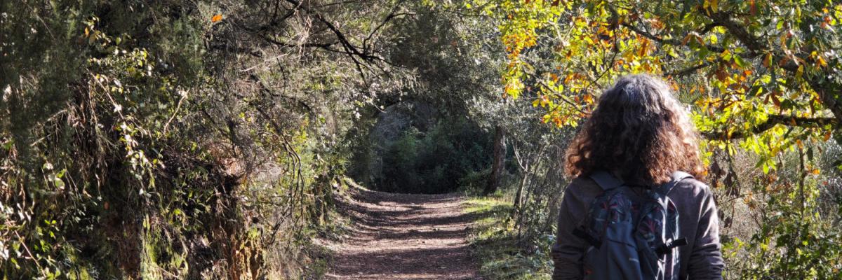 Ruta por la Ribera del Jabugo: senderismo en la Sierra de Aracena