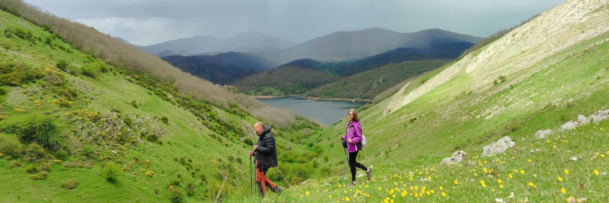 Senda del Oso (Palencia)